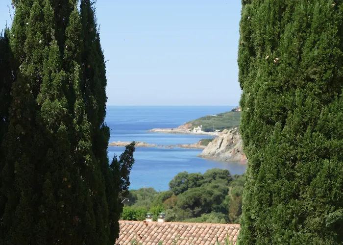 Residenza l \'Alivetu