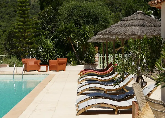 Residenza L \'Alivetu