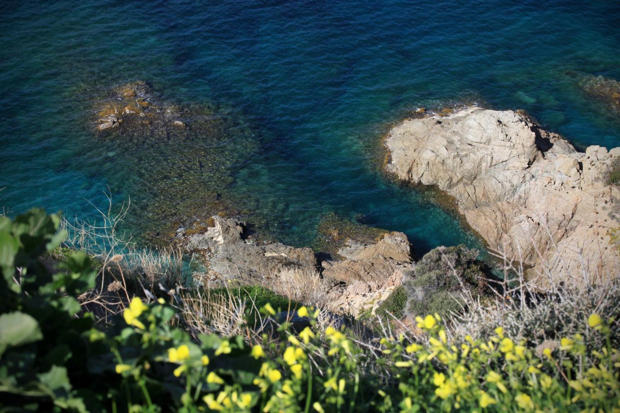 Apartahotel Residenza L 'alivetu Cargèse