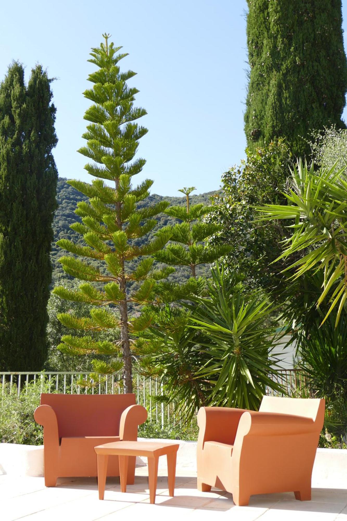 Residenza L 'alivetu